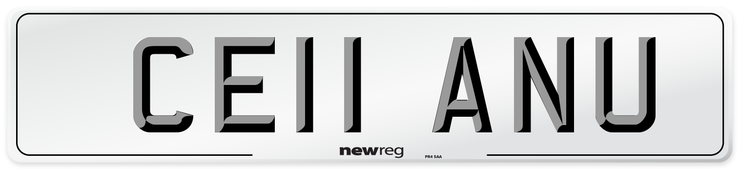 CE11 ANU Number Plate from New Reg